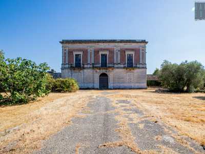 ...attraverso la quale possiamo scorgere la villa che svetta al centro di un ampio campo ricco di fichi e ulivi